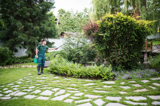 Best Pest Control Near Me  in Gardnerville, NV
