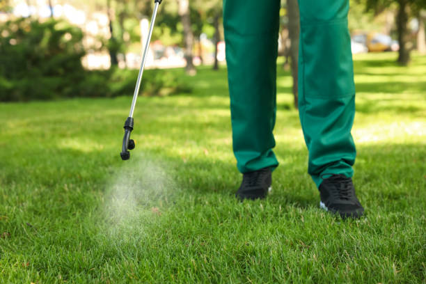 Reliable Gardnerville, NV Pest Control Solutions