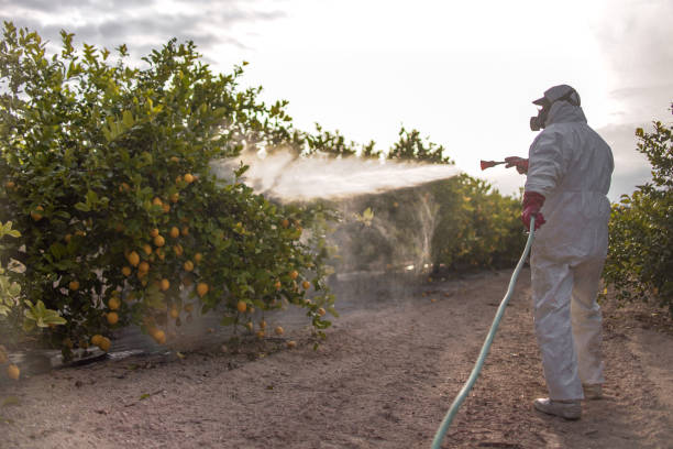 Best Residential Pest Control  in Gardnerville, NV