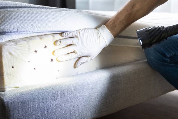 Pest Control Cost in Gardnerville, NV