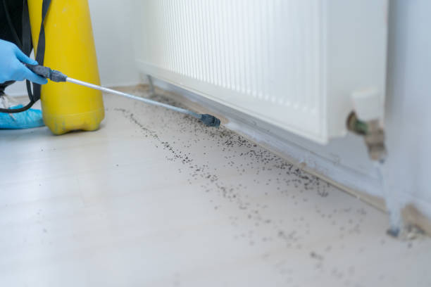 Best Exterminator Services  in Gardnerville, NV