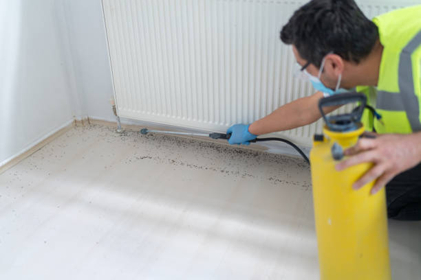 Best Local Pest Control Services  in Gardnerville, NV